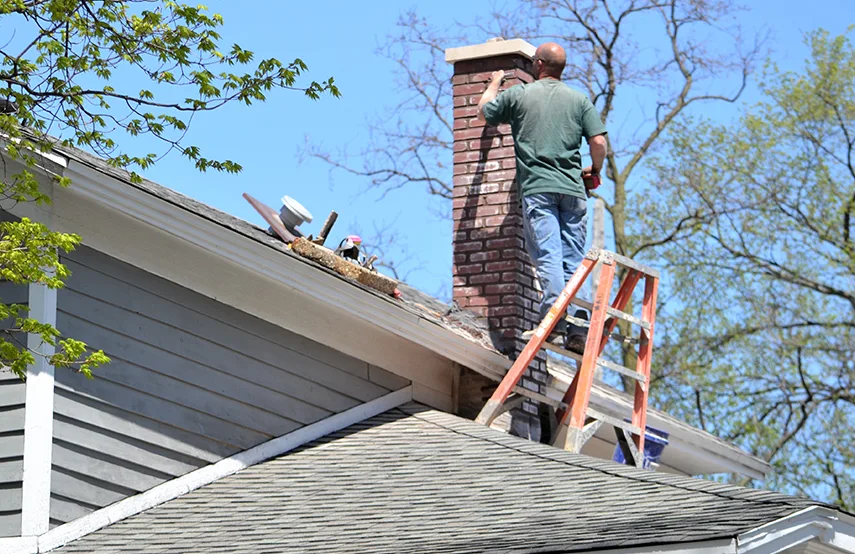 Chimney & Fireplace Inspections Services in Waukesha, WI